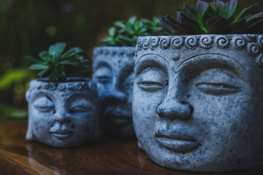 Budismo: o Decor Zen como ferramenta do Caminho do Meio