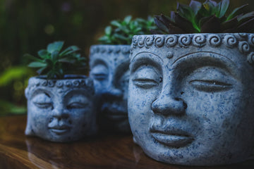 Budismo: o Decor Zen como ferramenta do Caminho do Meio