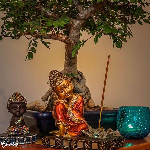 Incensário Buda Relax e Flor de Lótus buda,budismo,elas,incensario